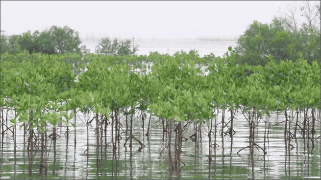 Resilience header Resilience header